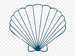 Maybe you would like to learn more about one of these? Sea Shells On Seashells Shells And Conch Clipart Sea Shell Drawing Free Transparent Png Clipart Images Download