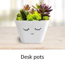 Flower pots and square plastic planting pots, plant trays, root trainers, plug propagation trays, seed trays. Plant Containers Buy Plant Containers Online At Best Prices In India Amazon In