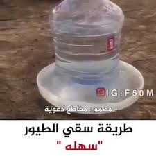 صدقة الماء للطيور