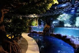 Kemudian anda harus membayar biaya masuk lain untuk setiap wahana yang anda kunjungi. Not The Best Aquarium Review Of Jakarta Aquarium Safari Jakarta Indonesia Tripadvisor