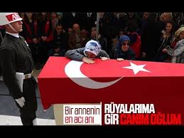 Baharinda Sararip Soldun Da Gittin Anayi Nettin Guzum Sehit Anasinin Agiti Tubazy Mp3 Indir Mobil Indir