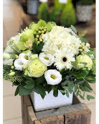 We did not find results for: Montreal West Florist Flower Delivery By Marche De Fleurs Westminster Inc