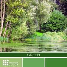 All About The Color Green Meaning Psychology Symbolism Green Colour Palette Green Color Meaning Green Color Names