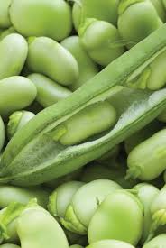 Broad beans are good sources of b vitamins which play an important role in the prevention of heart disease. Broad Beans