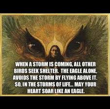 In The Storms Of Life Native American News Native American Quotes Native American Prayers American Quotes