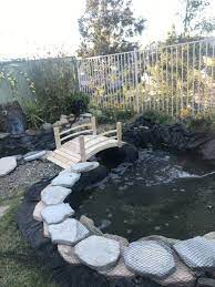 Maybe you would like to learn more about one of these? Combining Two Established Koi Ponds Garden Pond Forums