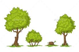 Collection Of Cartoon Trees Cartoon Trees Bush Drawing Drawing Illustration