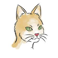 5 gambar comel kucing tidur blog arau. Kucing Yang Ditarik Bagaimana Menggambar Anak Kucing Dengan Mata Comel Secara Berperingkat Menggunakan Pensil Untuk Anak Anak Dan Pemula Cara Melukis Anime Lipatan Siam Anak Kucing Yang Sedang Tidur