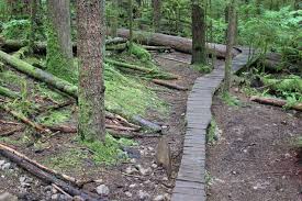 152,776 miles of mountain bike trails at your fingertips. Trailforks App Review Reveals Why This Is My Must Have App When Mountain Biking