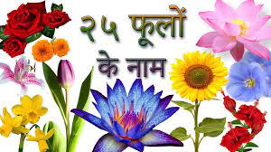 Maybe you would like to learn more about one of these? 25 Flowers Names In Hindi à¤« à¤² à¤• à¤¨ à¤® à¤¹ à¤¦ à¤® Phoolon Ke Naam In Hindi Hindi Flowers Youtube