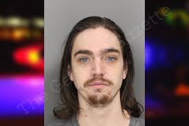 Andrew Chestnut — Cobb County Jail Bookings