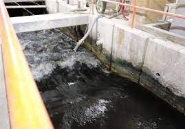 Cost Climbs For Collins Park Water Treatment Plant The Blade