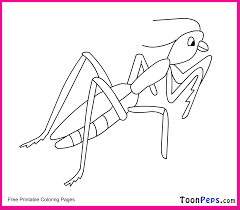 Free printable colorings pages to print and color. Praying Mantis Coloring Pages