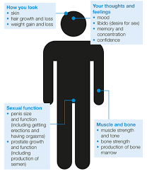 prostate cancer needs male hormones (androgens such as testosterone) to thrive. Side Effects Of Hormone Therapy Prostate Cancer Uk