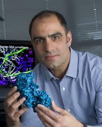 Montana State's Blake Wiedenheft receives regional award for research  excellence