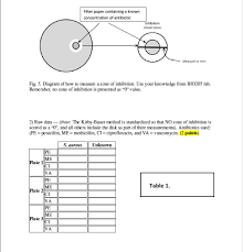 Solved Please Answer Question 1 4 1 Measure The Zones O