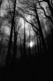 Pin On Beautifully Dark Places