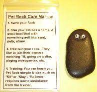 Pet Rock Care Manual This Is Pretty Funny And Also Ahs The Option Of Making A Cow Or Zebra Diy Christmas Gifts For Kids Pet Rocks Christmas Gifts For Girls