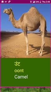 Not only the geography, but also even proper names are mentioned. Learn Marathi Wildlife And Body Parts For Android Apk Download