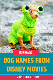 Dog Names From Disney Movies Dog Names Disney Dogs Dog Names Disney