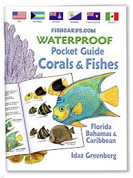 Fishcardscom Waterproof Pocket Guide Book Coral Fishes Florida Bahamas Caribbean