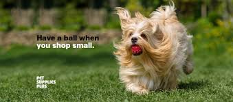 Maybe you would like to learn more about one of these? Pet Supplies Plus Surf City Nc Home Facebook