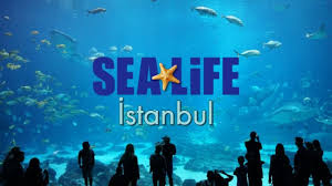 Sea Life Akvaryum Gezi Rehberi Nerede Nasil Gidilir Ve Giris Ucretleri