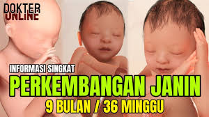 16 tanda anda bakal bersalin dalam masa terdekat ini, get ready nak ke hospital cepat! Usia Kandungan 9 Bulan Kehamilan 36 Minggu Perkembangan Pertumbuhan Janin Youtube