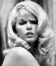 This is Stella, an American pit bulldog