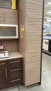 Latitude Cabinets At Lowes Cabinet Home Kitchens Tall Cabinet Storage