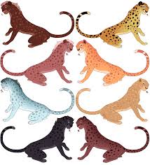 Download and print coloring pages. Colour Madness Cheetah Adopts Open 3 8 By Dinogirl4ever On Deviantart