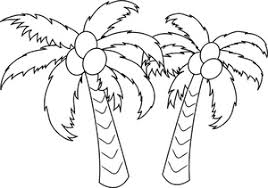 Funny pirate on coconut tree coloring page stock vector illustration. Palm Tree Clipart Image Coconut Palms Coloring Page