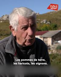En Corse, sous l'étoile des bergers