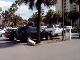 Housing Authority Of The City Of Miami Beach Provides Low Income Families Or Elderly Living In Miami Beach Florida Subsidized Housing This Miami Beach Beach