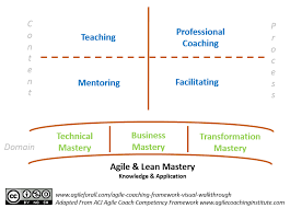 D1 Alternate View Of The Agile Coach Competency Framework Agile Business Mastery Coaching