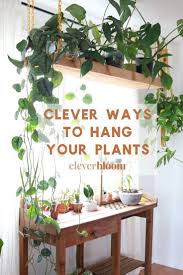 Clever Ways To Hang Your Plants Clever Bloom In 2020 Wohnzimmer Pflanzen Wohnung Pflanzen Zimmerpflanzen