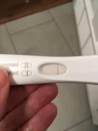 How accurate are pregnancy tests? Dollar Store Tests Update Frer Was Negative Trying For A Baby Babycenter Canada