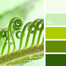 Color Palette 2594 Green Colour Palette Color Palette Blue Colour Palette