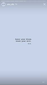  42 Best Caption For Nature Ideas Instagram Quotes Caption For Nature Mood Quotes