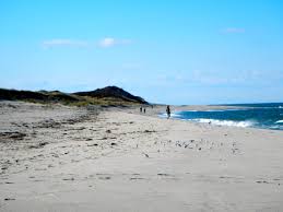 Cape Cod National Seashore Cape Town The Lobster Pot