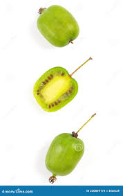 Image result for foto minikiwi