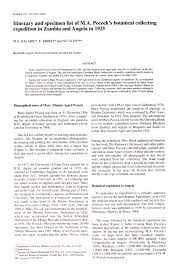 Image result for Schinziella tetragona