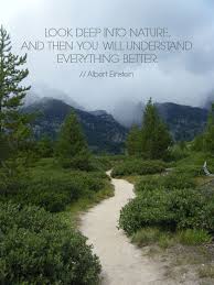 Albert Einstein Grand Teton National Park Happy Links Creating Your Own Path Grand Teton National Park Nature Albert Einstein