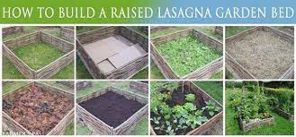 How to make a lasagna garden. The Seed Guy Lasagna Bed Gardening Becoming More Popular Facebook