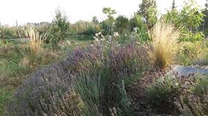 Podle informací portálu novinky.cz skočila z okna z radnice. Kourim Prirodni Zahrada U Zuzky Mapa Prirodnich Zahrad Ekologicky Institut Veronica