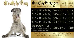 We did not find results for: Pin On Dogs