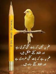 Follow P I N T E R E S T Hrshafique Poetry Quotes In Urdu Urdu Quotes Islamic Love Quotes