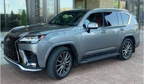 Image result for Manganese Luster 2025 LZ