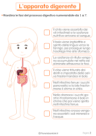 Esso è composto dalla bocca, dalla faringe, dall'esofago, dallo stomaco e dall'intestino. L Apparato Digerente Schede Didattiche Per La Scuola Primaria Pianetabambini It Scienza Per Bambini Scuola Schede Didattiche
