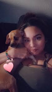 Lost dog near I-10 mile marker after car accident